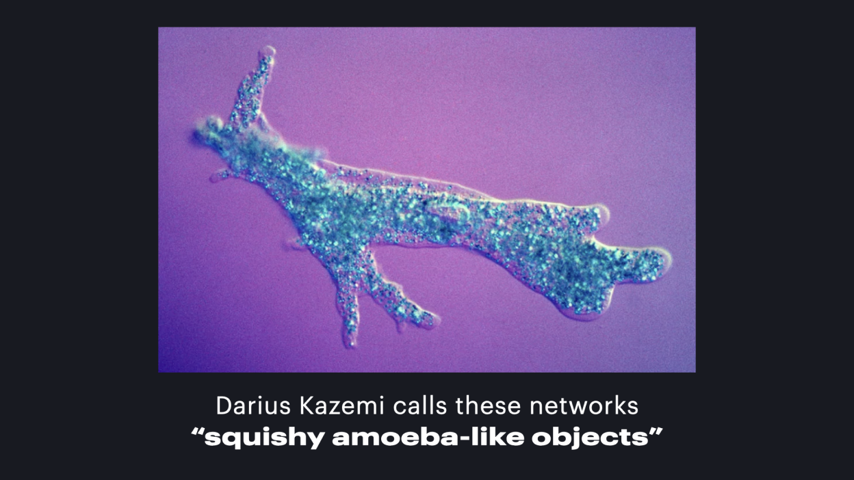 A slide with a colorful picture of an amoeba. It reads 'Darius Kazemi calls these networks "squishy amoeba-like objects"'